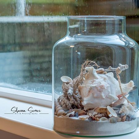 Carpe Diem Egmond Aan Zee By Urban Home Stay Екстер'єр фото