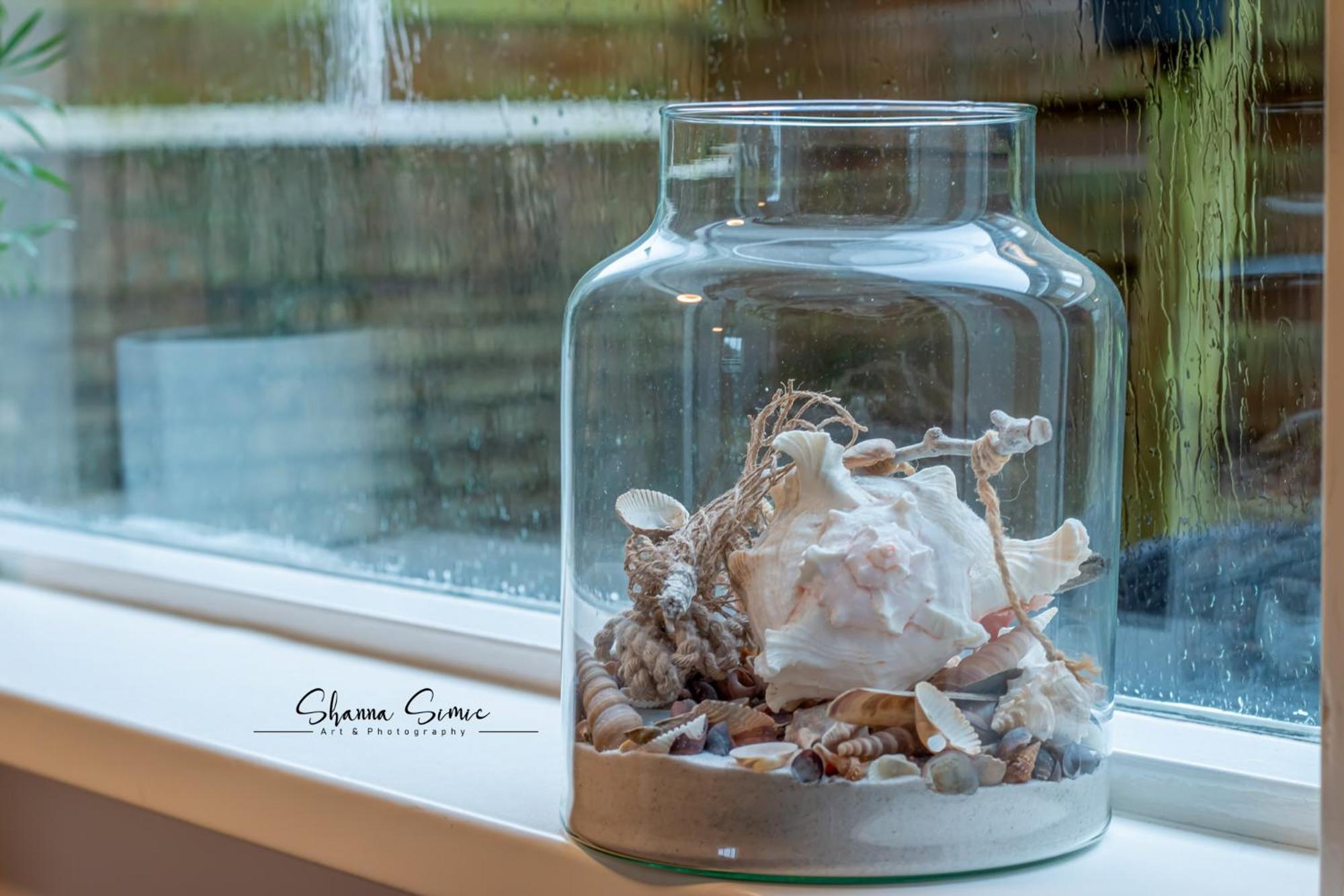 Carpe Diem Egmond Aan Zee By Urban Home Stay Екстер'єр фото